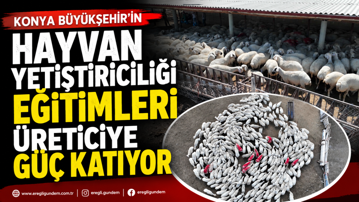  KONYA BÜYÜKŞEHİR’İN HAYVAN YETİŞTİRİCİLİĞİ EĞİTİMLERİ ÜRETİCİYE GÜÇ KATIYOR